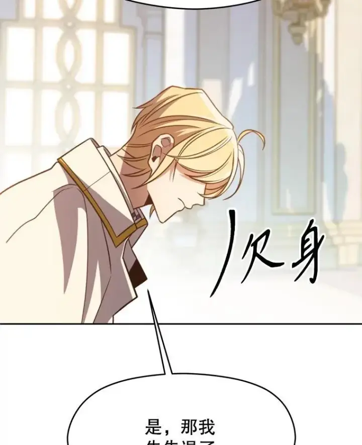 漫画《超越回归的大魔导师》97.皇帝的弱点第100张图