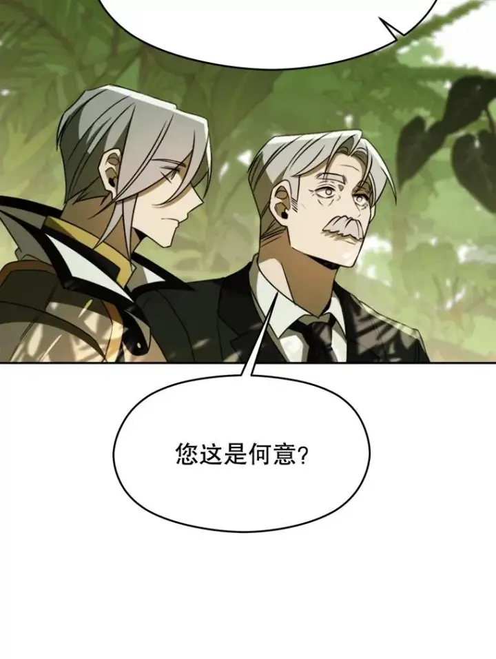 漫画《超越回归的大魔导师》112.圣地第43张图