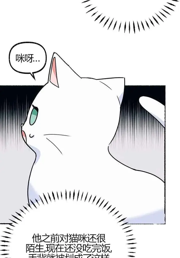 漫画《成了每晚和偏执暴君共眠的猫》第02话第111张图
