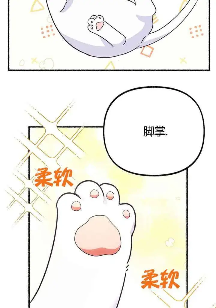 漫画《成了每晚和偏执暴君共眠的猫》第02话第5张图