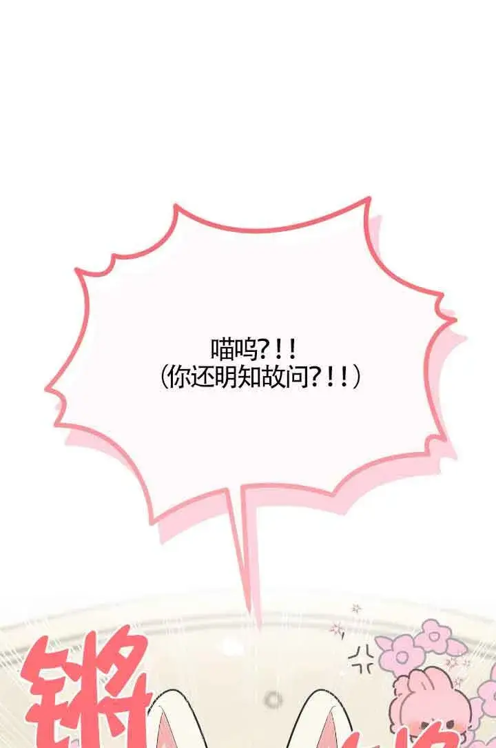漫画《成了每晚和偏执暴君共眠的猫》第16话第10张图
