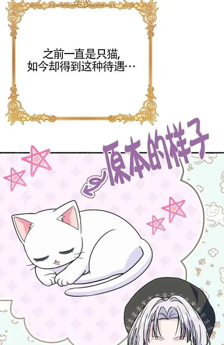 漫画《成了每晚和偏执暴君共眠的猫》第31话第41张图