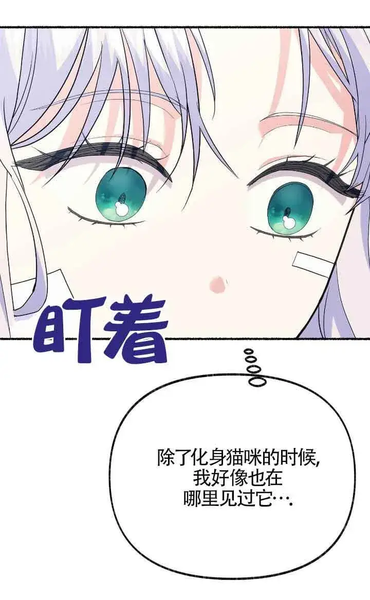漫画《成了每晚和偏执暴君共眠的猫》第36话第80张图