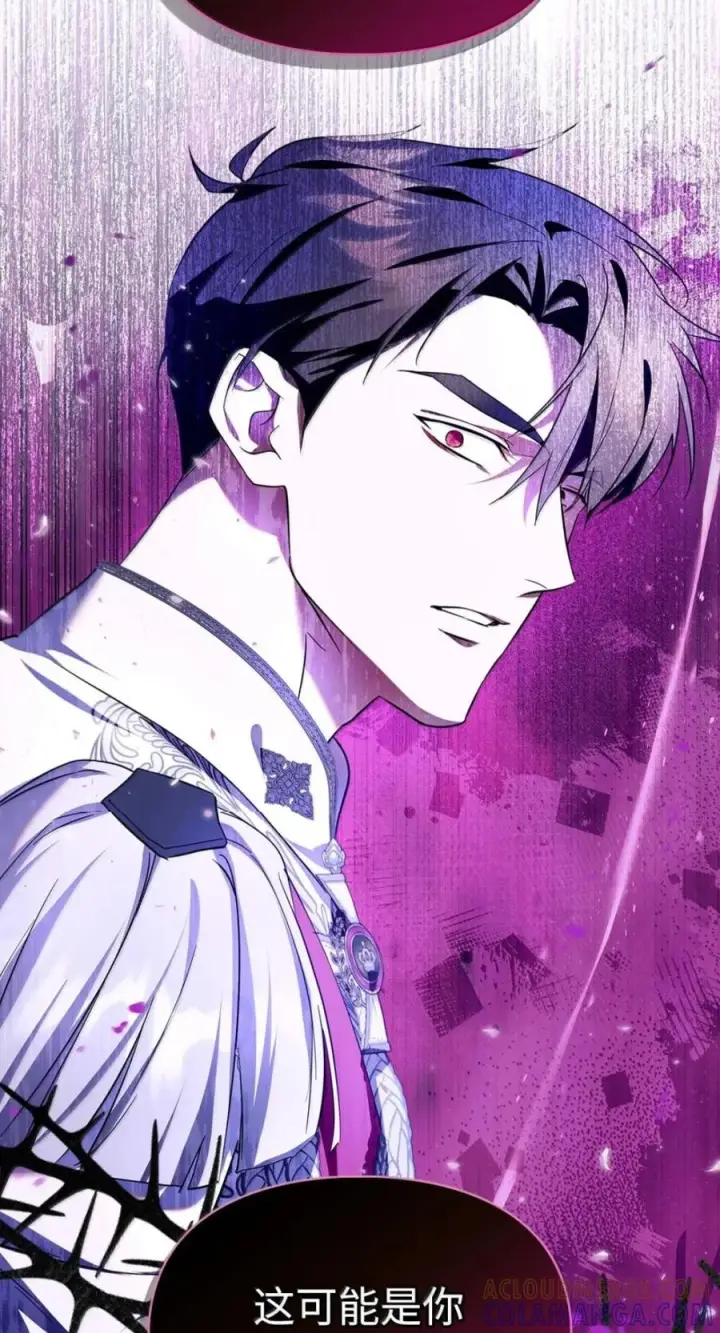 漫画《成为暴君的奸臣》72 最后的机会第31张图