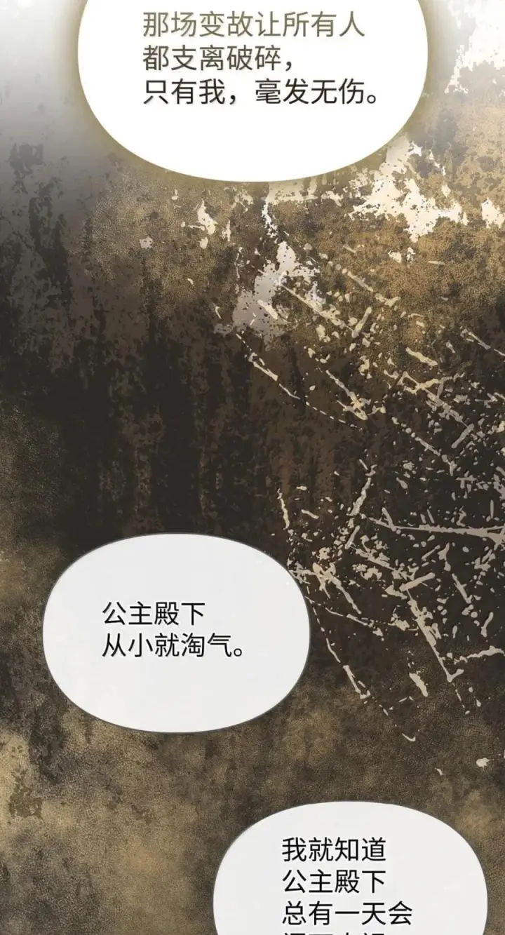 漫画《成为暴君的奸臣》75 公主的恋人第65张图