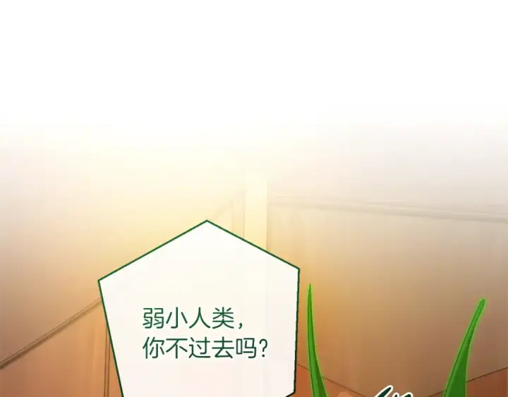 漫画《成为伯爵家的废物》第158话 会谈开始第119张图