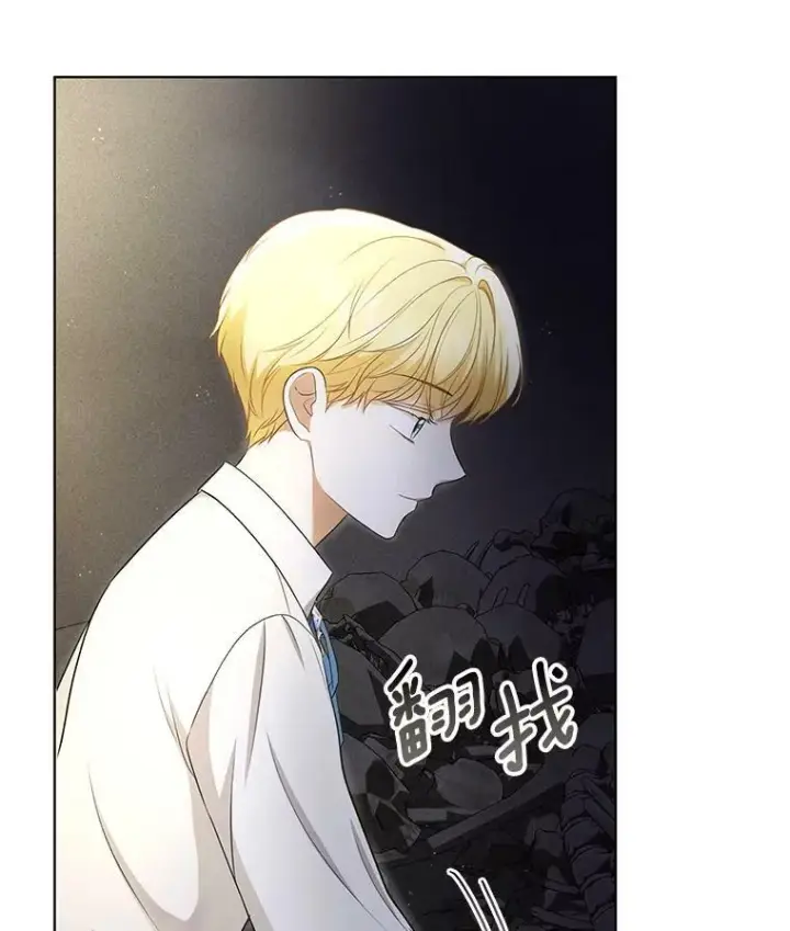 漫画《成为皇帝的专属翻译》27.秘密空间第87张图
