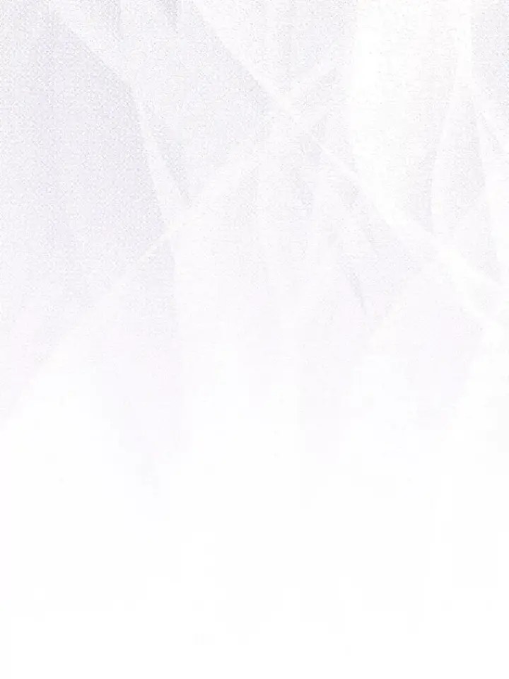 漫画《成为皇帝的专属翻译》34.固执的婢女第59张图