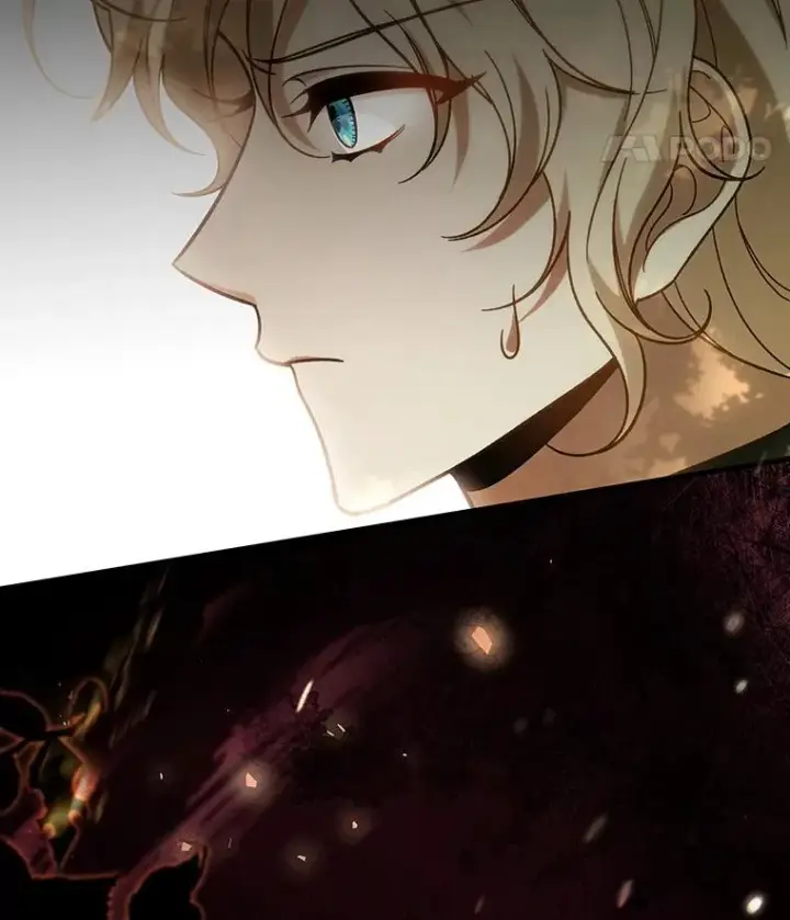 漫画《成为主角的命定救星》59.那座村庄有蹊跷第48张图
