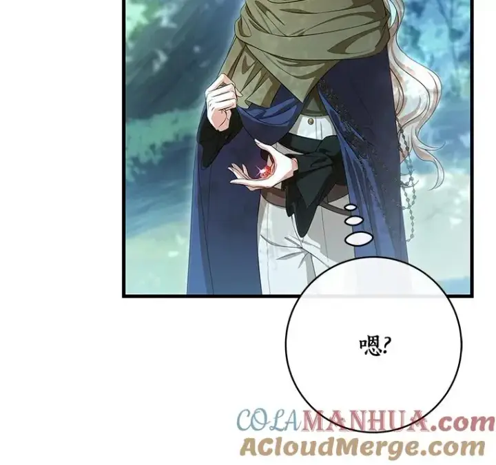 漫画《成为主角的命定救星》68.领土变形第13张图
