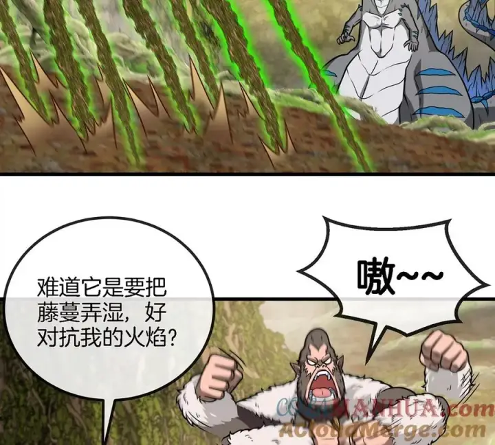 漫画《重生为怪兽什么鬼》第50话 会组合拳的尊柏树第28张图