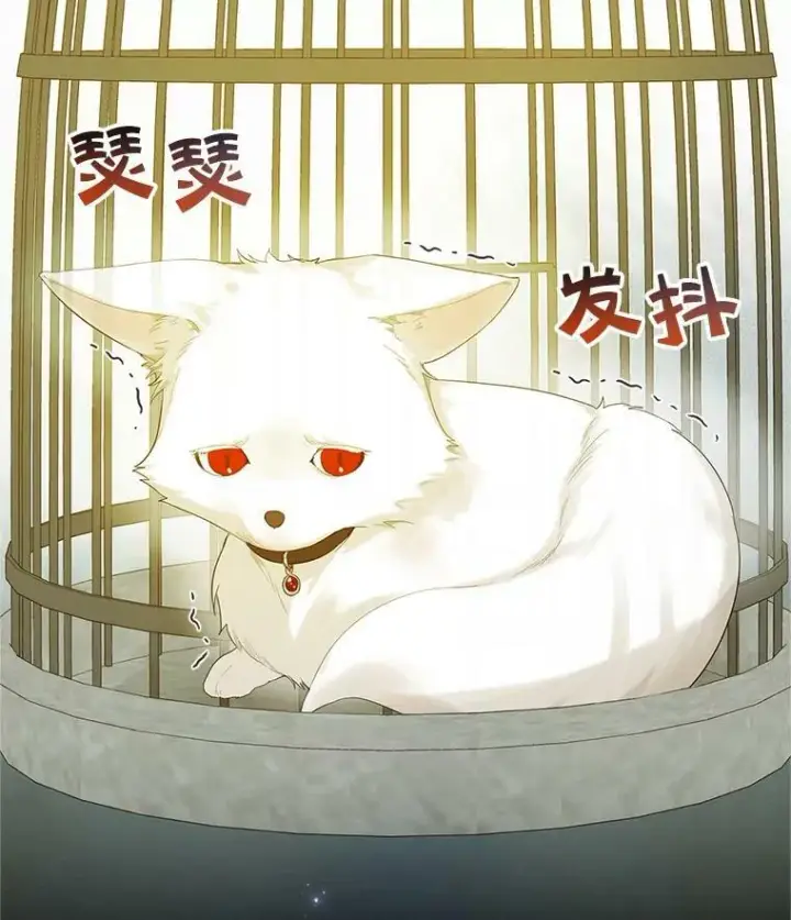 漫画《穿成后悔偏执狂的妹妹》10.练武独处第120张图