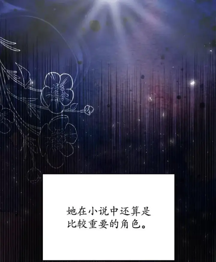 漫画《穿书已经穿腻了》17.布兰卡夫人第94张图