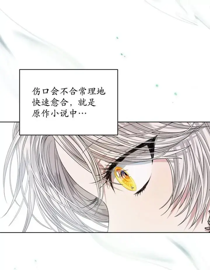 漫画《穿书已经穿腻了》27.魔力第72张图