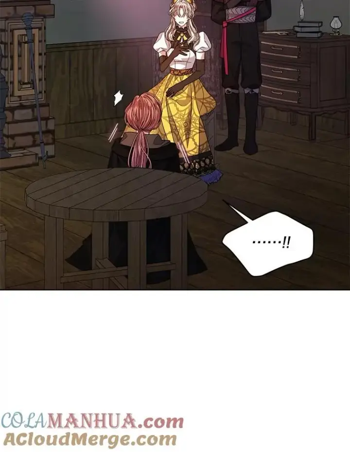 漫画《穿书已经穿腻了》40.收获侍女第37张图