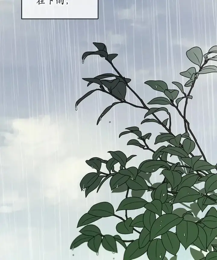 漫画《穿书已经穿腻了》56.卡西翁的葬礼第2张图