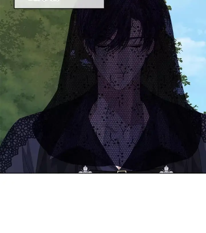 漫画《穿书已经穿腻了》56.卡西翁的葬礼第32张图