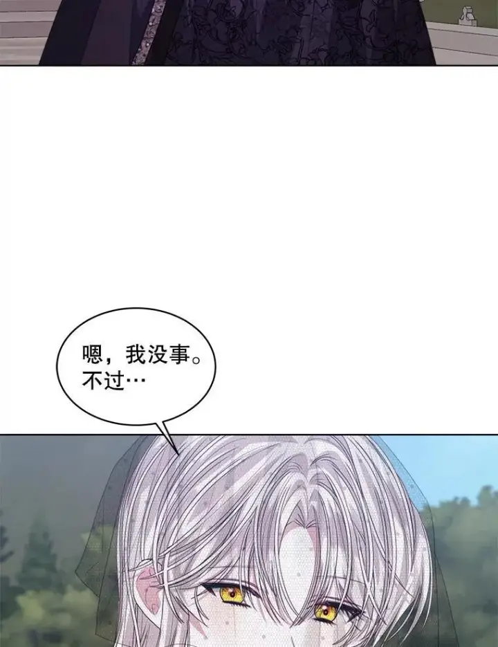漫画《穿书已经穿腻了》56.卡西翁的葬礼第39张图