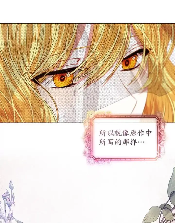 漫画《穿书已经穿腻了》56.卡西翁的葬礼第48张图