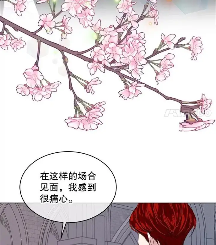 漫画《穿书已经穿腻了》56.卡西翁的葬礼第82张图