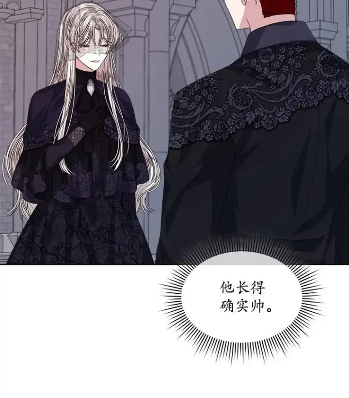 漫画《穿书已经穿腻了》56.卡西翁的葬礼第83张图