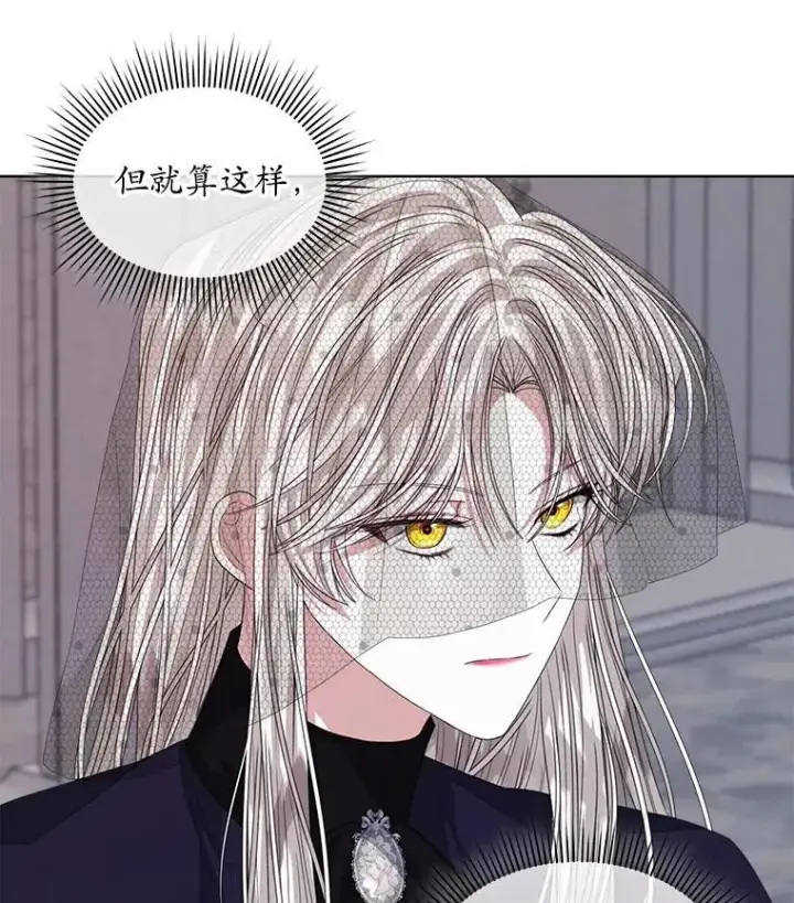 漫画《穿书已经穿腻了》56.卡西翁的葬礼第84张图