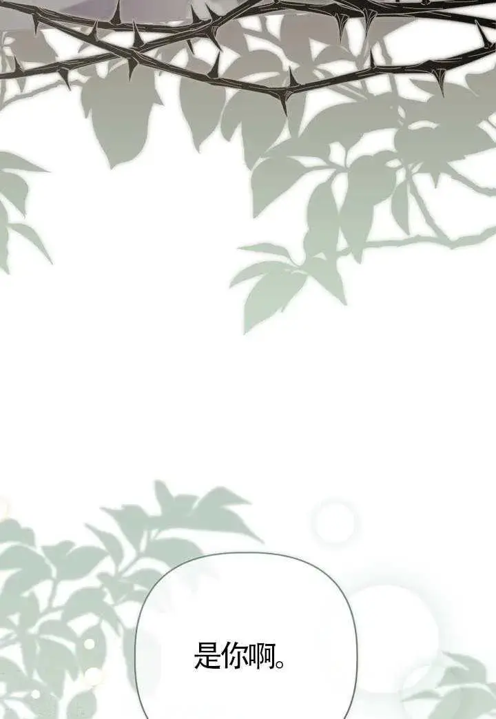漫画《穿越者的幸运礼》第131话第50张图