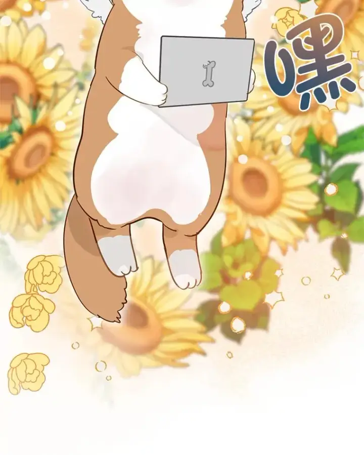 漫画《穿越者的幸运礼》1.S级穿越者第47张图
