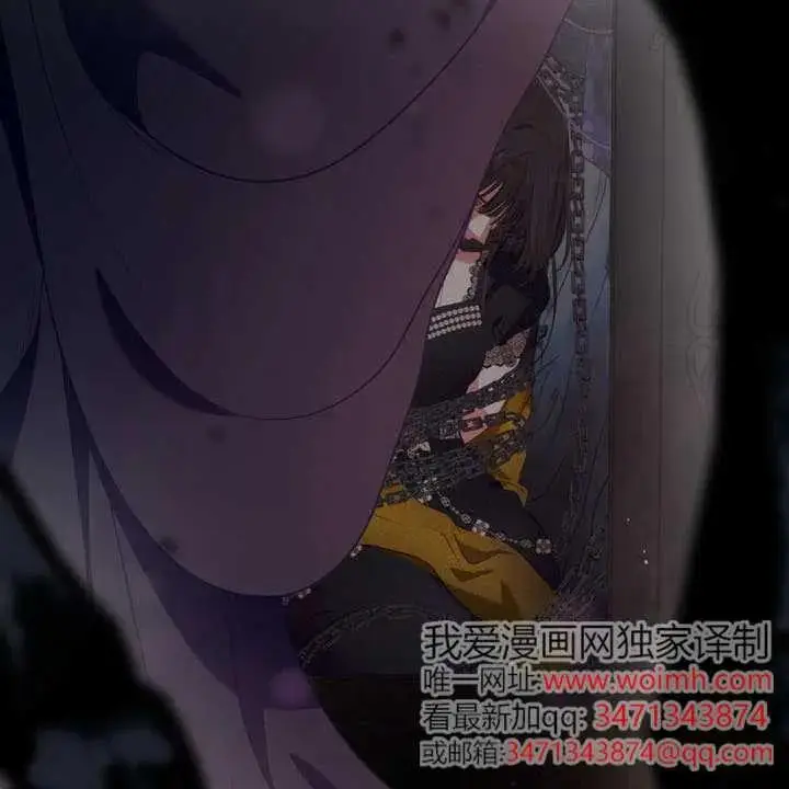 漫画《穿越者的幸运礼》第138话第119张图
