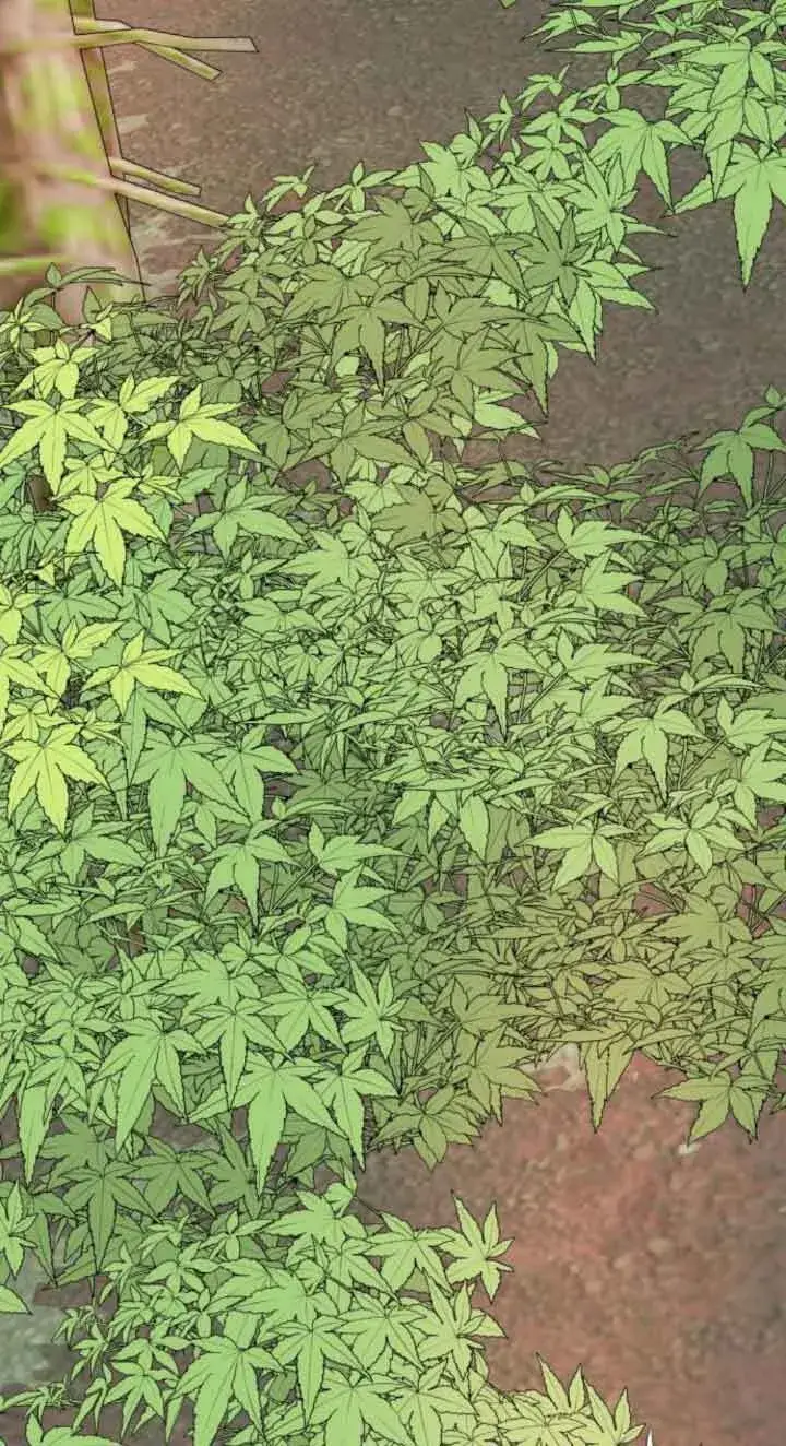 漫画《出售主人公的cp股》第71话第33张图