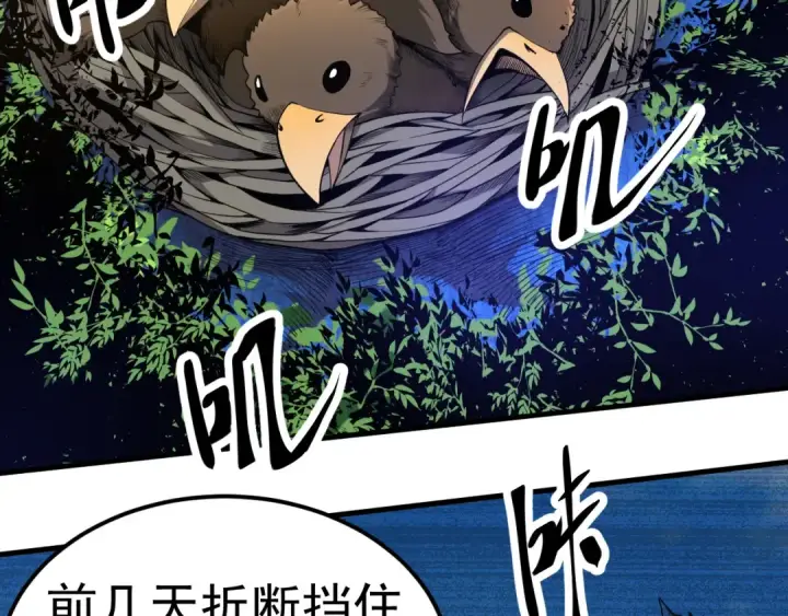 漫画《从大树开始的进化》第2话 危机四伏的异世界第11张图