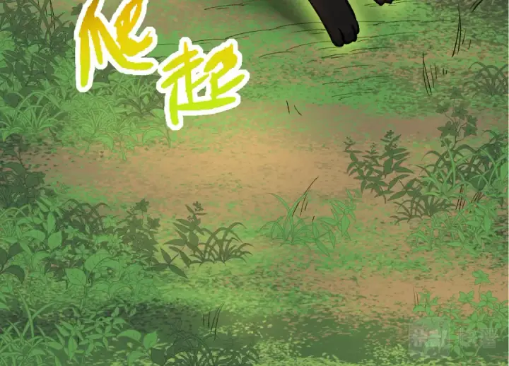 漫画《从大树开始的进化》第3话 红狐出现第27张图