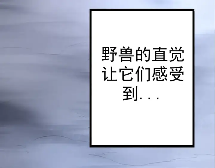 漫画《从大树开始的进化》第8话 新一轮强化第91张图