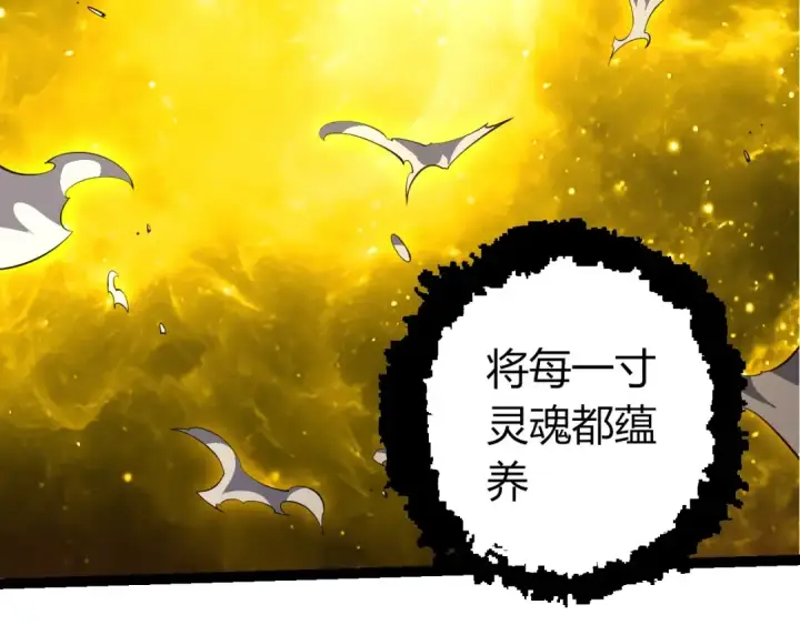 漫画《从大树开始的进化》第513话 切磋第19张图