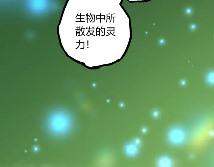 漫画《从大树开始的进化》第513话 切磋第37张图