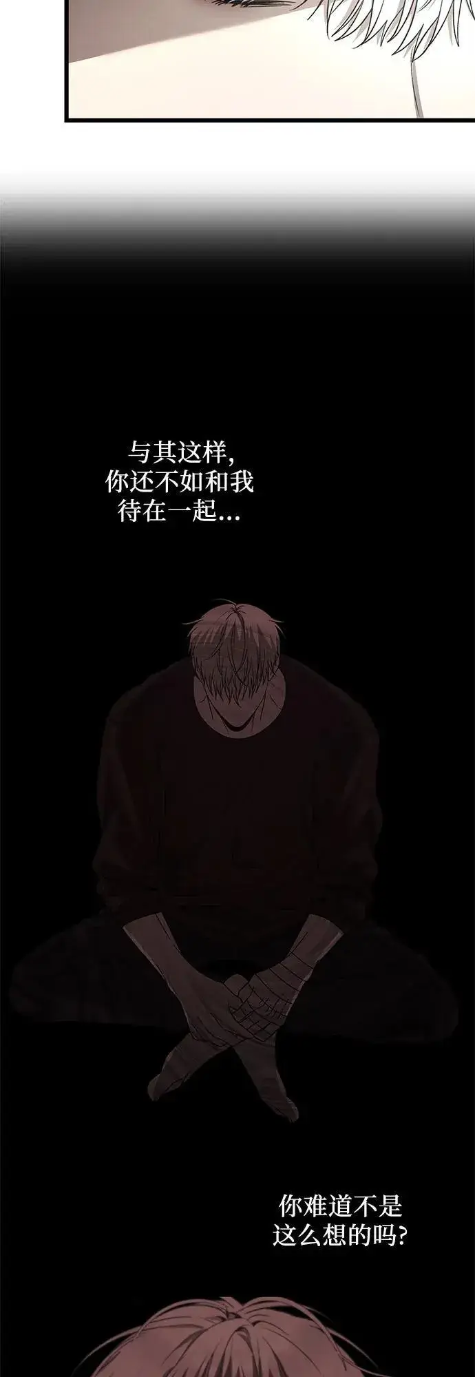 漫画《从梦到自由》第132话第54张图