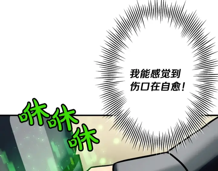 漫画《从士兵到君主》第48话 他所守护的是...第12张图