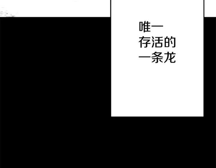 漫画《从士兵到君主》第138话  龙的愿望第30张图