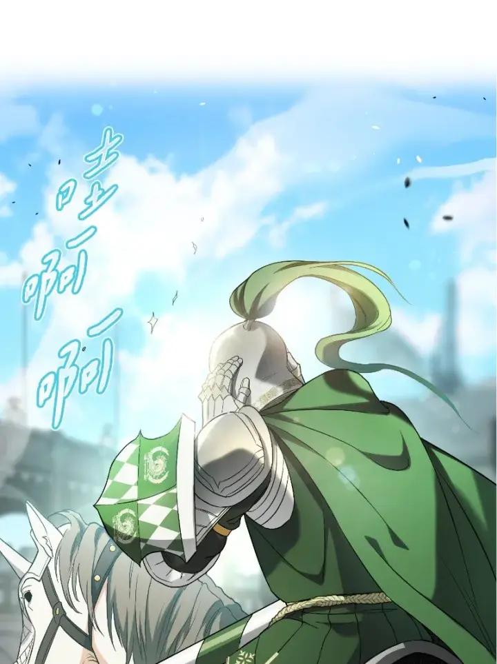 漫画《错把结婚当交易，却意外的甜蜜？》39 骑士的玫瑰第22张图