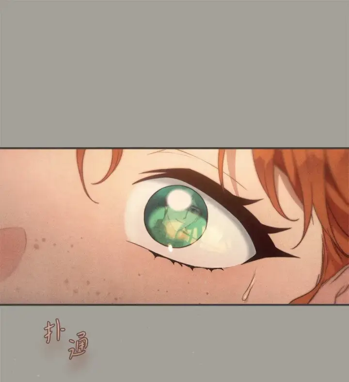 漫画《错把结婚当交易，却意外的甜蜜？》104 和我离婚吧第73张图