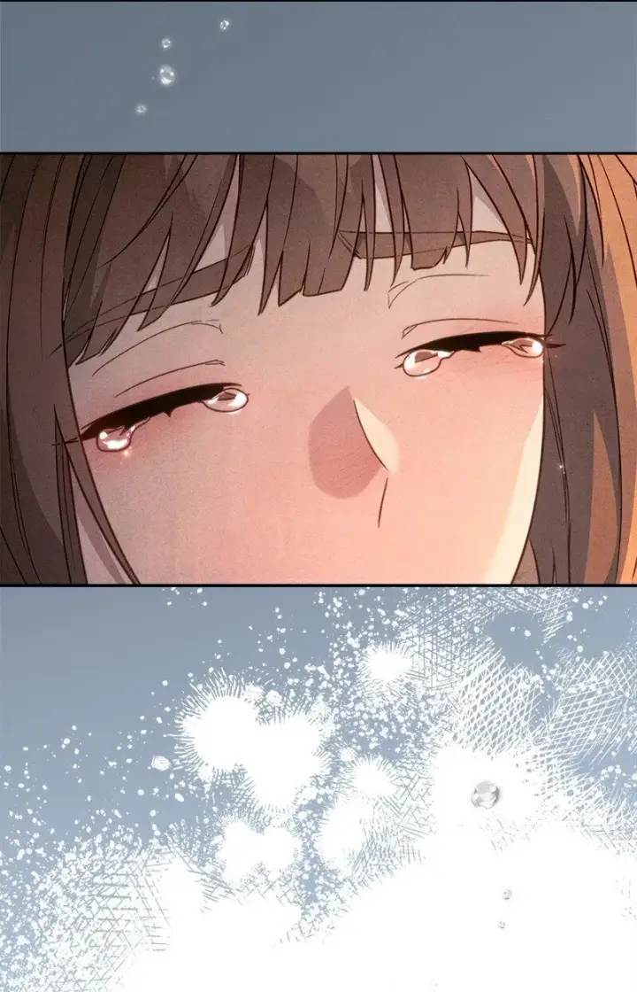 漫画《错把结婚当交易，却意外的甜蜜？》113 被藏起来的露西第12张图