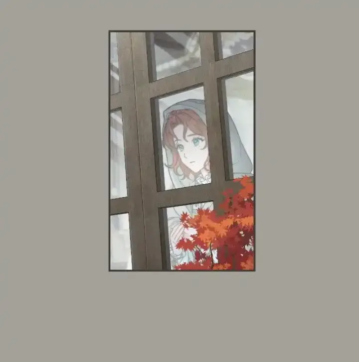 漫画《错把结婚当交易，却意外的甜蜜？》100 要看星星吗？第15张图