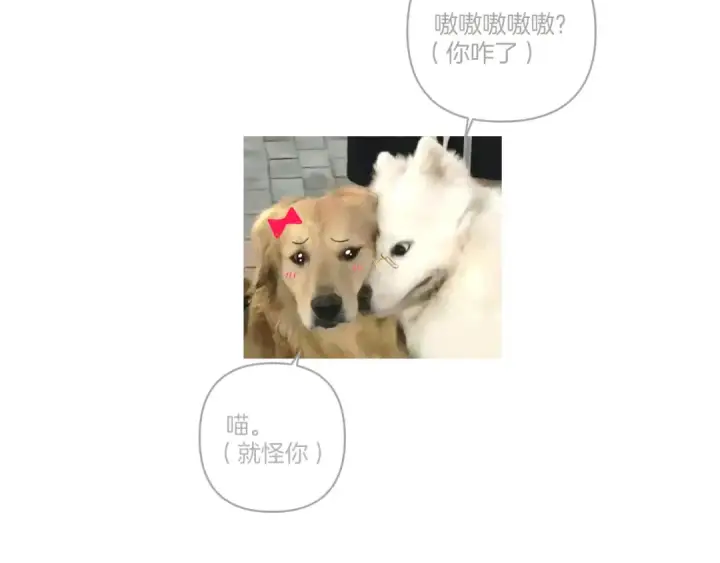 漫画《错撩》第46话 突袭第115张图