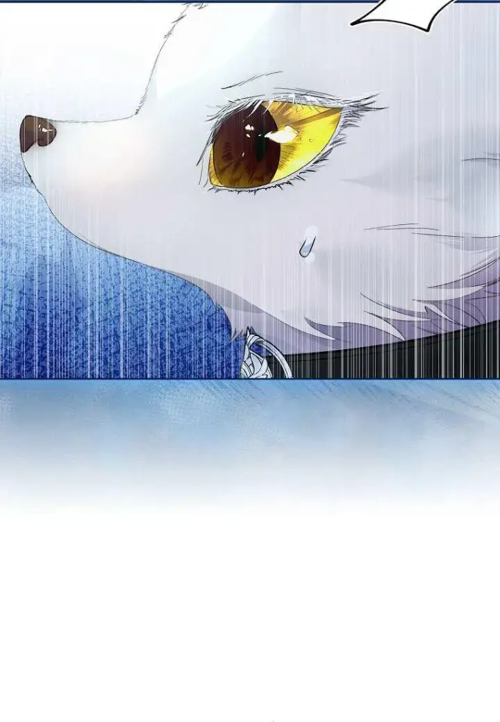 漫画《错养了九尾狐》第33话第76张图