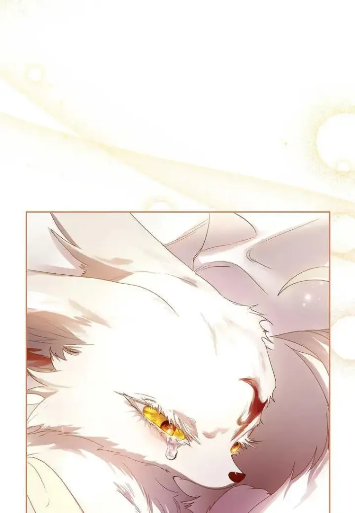 漫画《错养了九尾狐》第05话第63张图