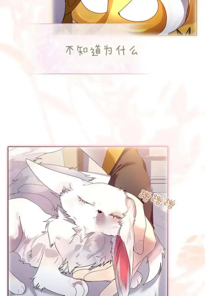 漫画《错养了九尾狐》第08话第51张图