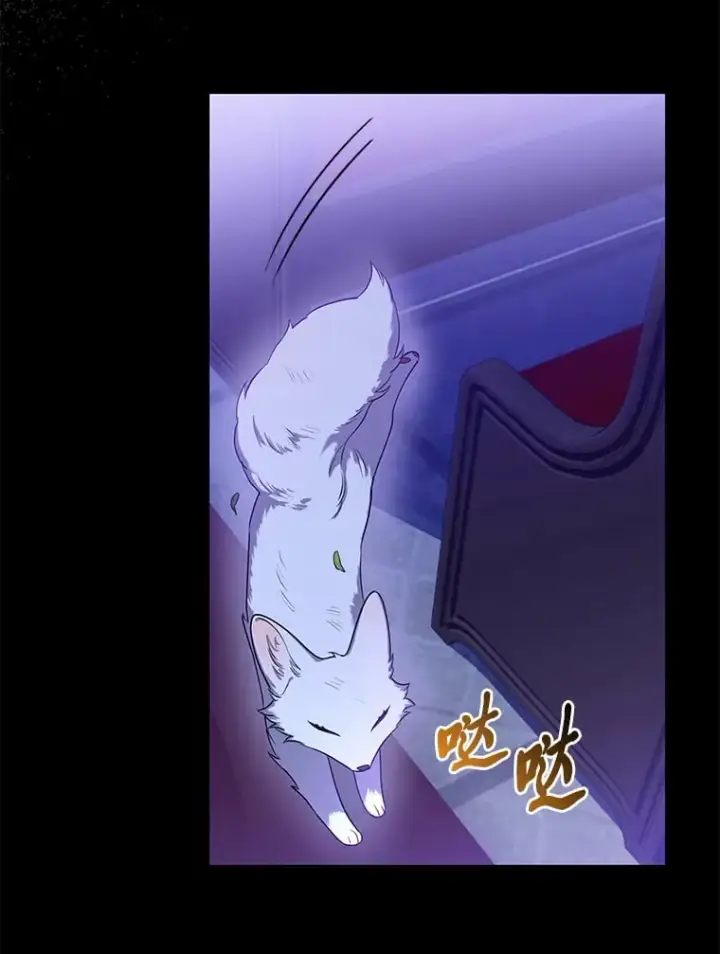 漫画《大公家的狐狸皇女》2.坎坷的人生第115张图