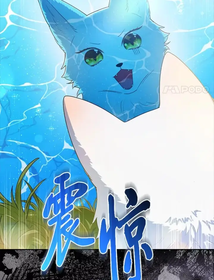 漫画《大公家的狐狸皇女》2.坎坷的人生第64张图