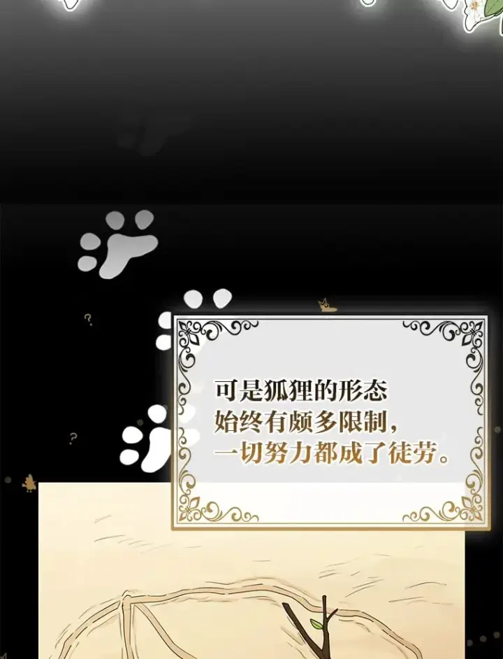 漫画《大公家的狐狸皇女》2.坎坷的人生第68张图