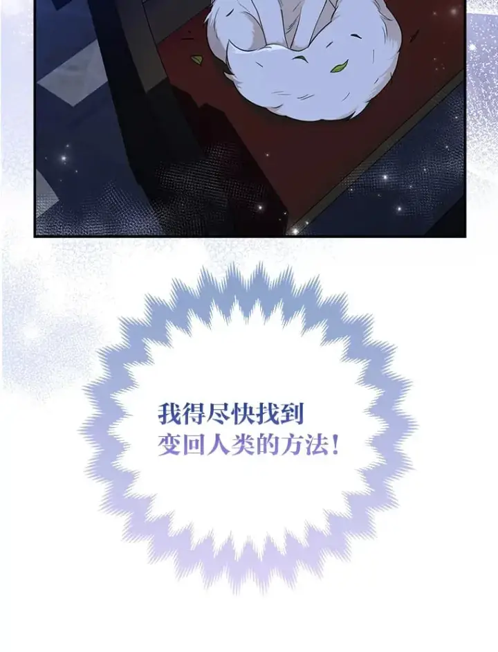 漫画《大公家的狐狸皇女》2.坎坷的人生第78张图